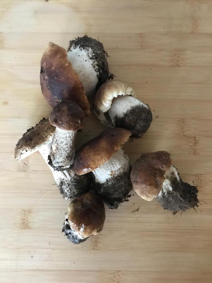 Mazurska Stodola Na Polwyspie Pilchowskim Pilchy المظهر الخارجي الصورة